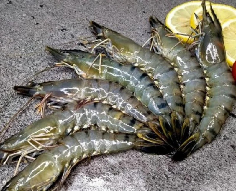 Picture for PRAWNS