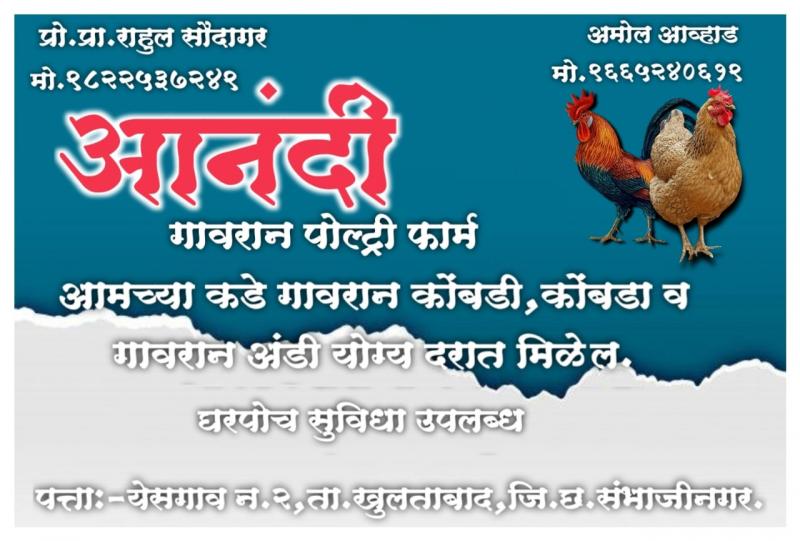 Picture for Gavran Grove: Where Poetry Blossoms in the Fields