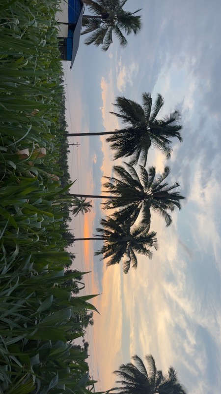 Picture of Madilu Farm