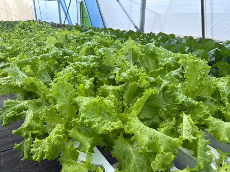 Picture of Pruthvi Farm