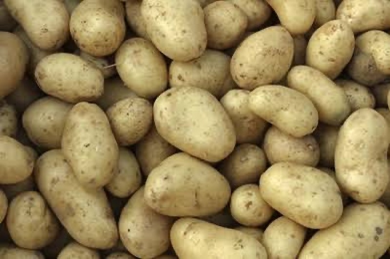 Picture for Irish Potatoes (Solanum tuberosum)