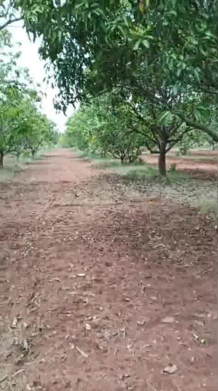 User's picture